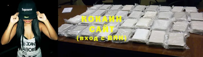 цены наркотик  Богучар  гидра ТОР  Cocaine Fish Scale 